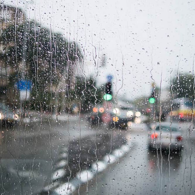 雨季のイスラエル