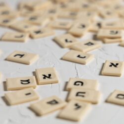 １月８日（テベット月19日）は「ヘブライ語の日」！ 言語の奇跡を祝う１日です