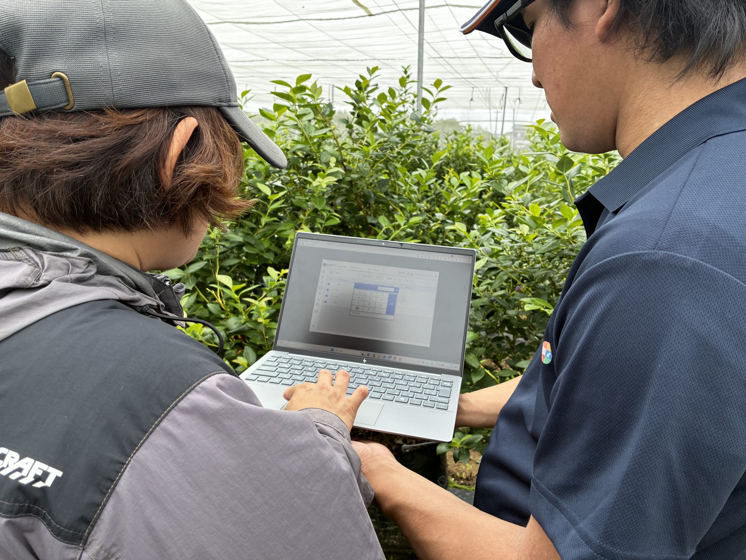 ネタフィムの担当者と灌水と施肥を調整