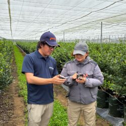 AIが「今日の水やり」を決める時代へ。イスラエル発 精密灌水が切り拓くスマート農業の未来
