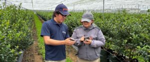 AIが「今日の水やり」を決める時代へ。イスラエル発 精密灌水が切り拓くスマート農業の未来