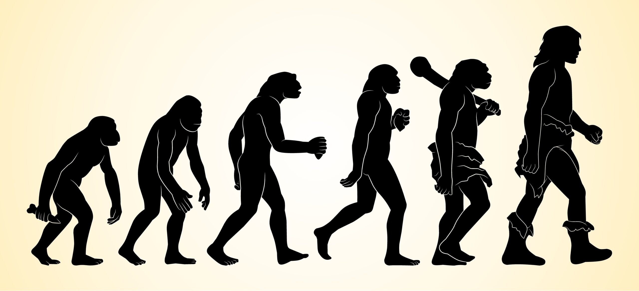 人類の進化のイメージ