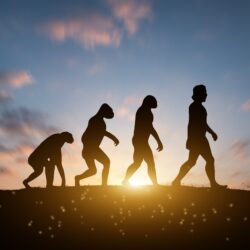 私たちのDNAには「未知の人類」の痕跡が残っていたー新手法が明らかにした、人類進化の新たな物語