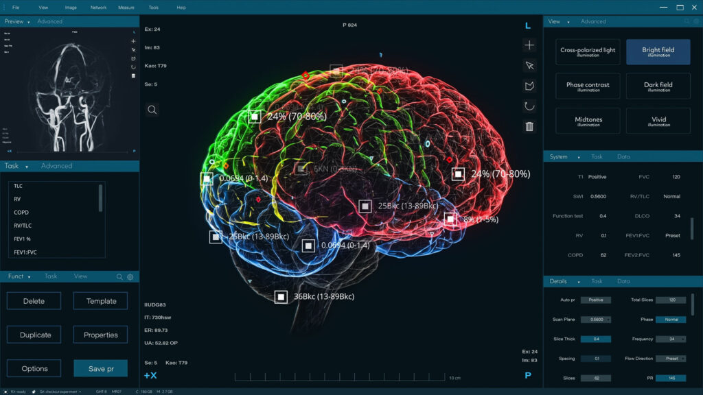ミエリンの働きを解析する脳科学研究のイメージ図