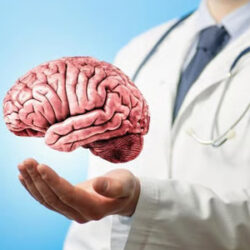 認知症研究の常識を変えるか？<br>イスラエル発、脳の「省エネ機能」を解明した新発見