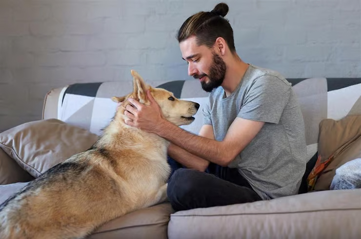 人と暮らす家庭犬は老化研究の重要なモデルとなっている