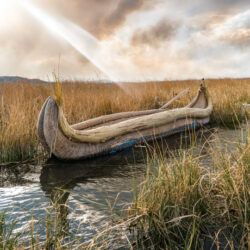 古代イスラエル人はどんな船に乗っていたのか？8000年前の海の謎に挑んだ研究者たち
