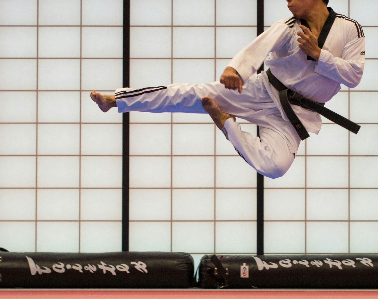 空手の蹴り技を披露する武道家